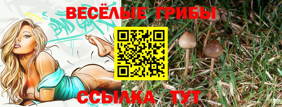 Галлюциногенные грибы ЛСД  Галлюциногенные грибы ЛСД  Брянск  Вход с VPN 